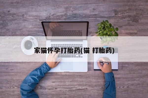 打胎药专卖微信米非司酮片联系方式家猫怀孕打胎药(猫 打胎药)